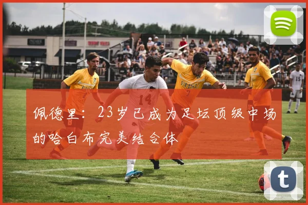 佩德里：23岁已成为足坛顶级中场的哈白布完美结合体