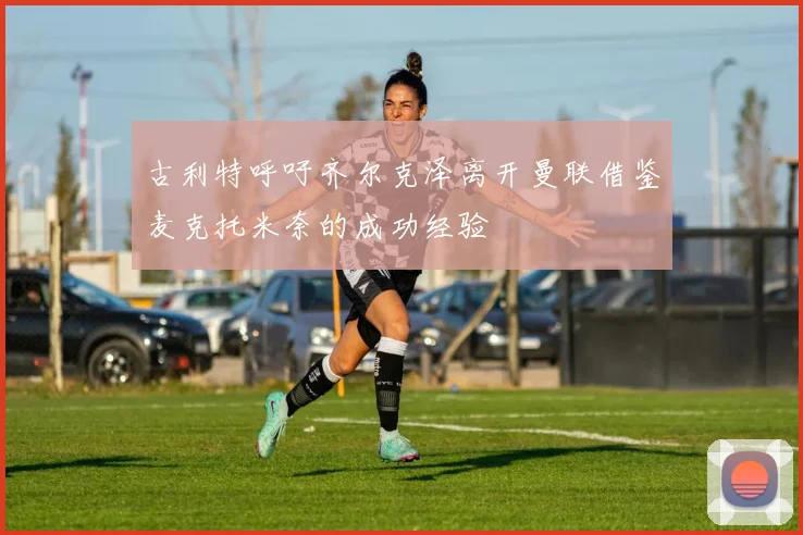 古利特呼吁齐尔克泽离开曼联借鉴麦克托米奈的成功经验