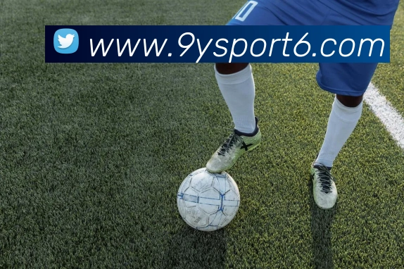 九游体育平台生态图