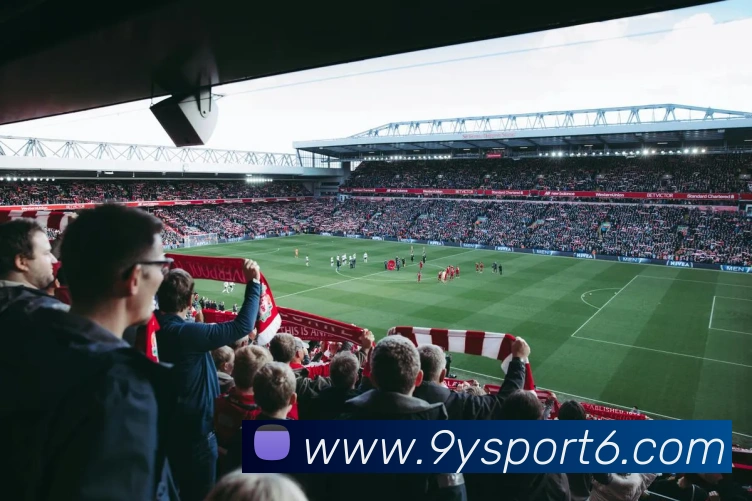 九游体育APP 封面图